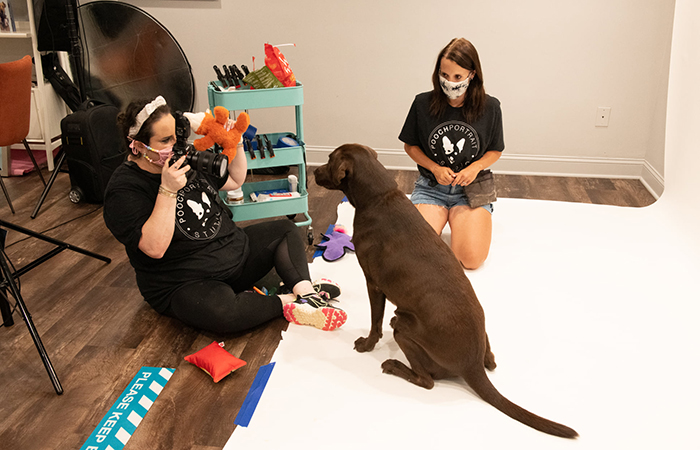 Dog having its picture taken.